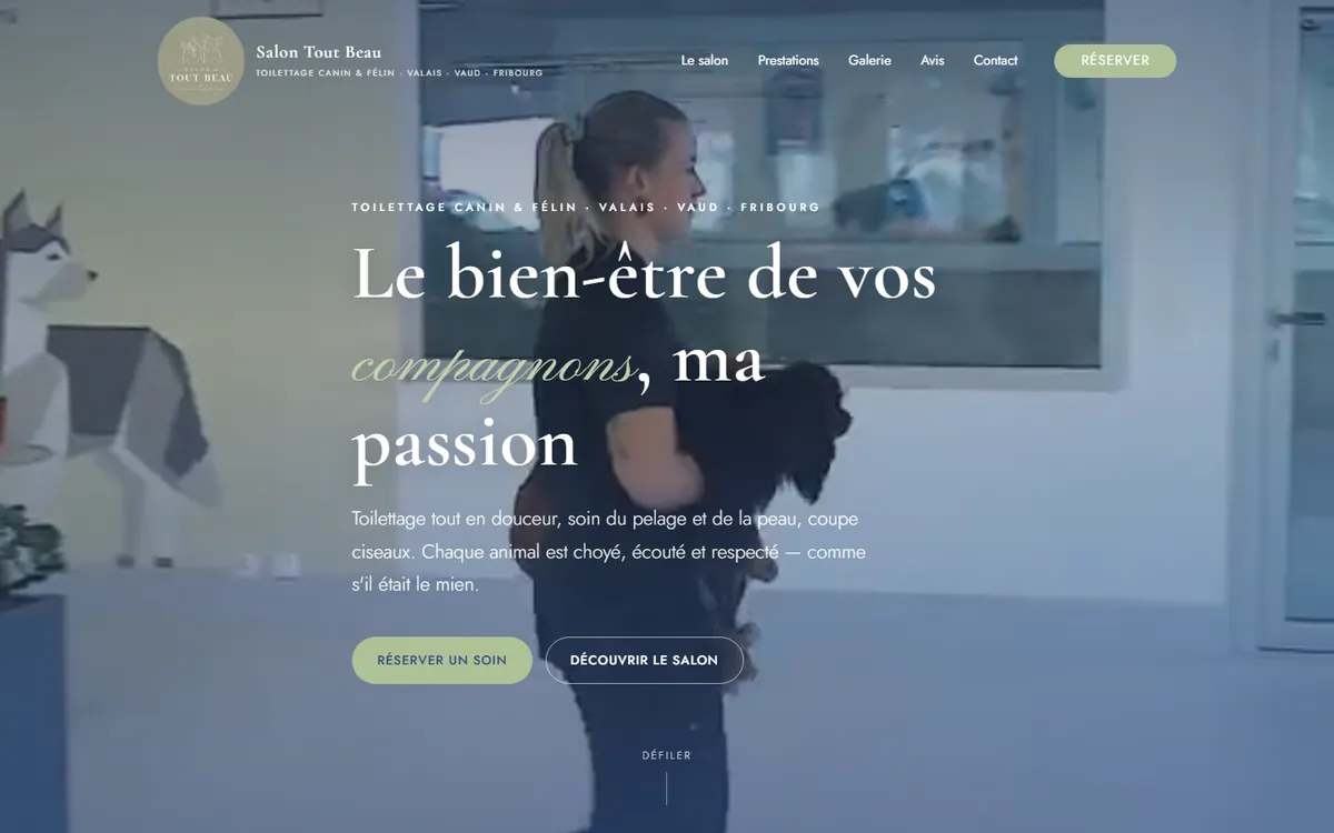 Page d'accueil du site Salon Tout Beau